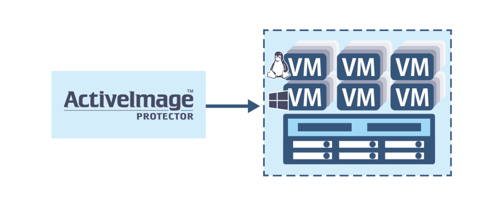 Virtual license